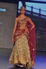 at Blenders Pride Fashion Tour 2011 Day 2 on 24th Sept 2011 (311).jpg